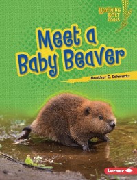 Cover Meet a Baby Beaver