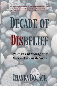 Cover Decade of Disbelief