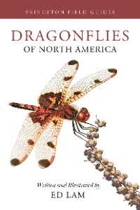 Cover Dragonflies of North America