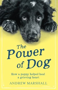 Cover Power of Dog