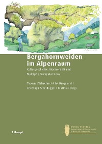 Cover Bergahornweiden im Alpenraum