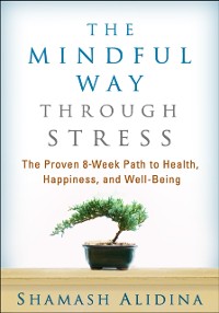 Cover Mindful Way through Stress