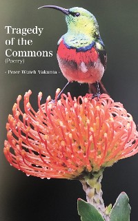 Cover Tragedy of the Commons