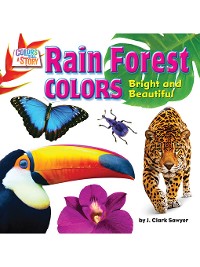 Cover Rain Forest Colors