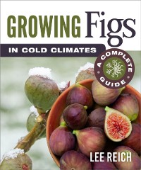 Cover Growing Figs in Cold Climates