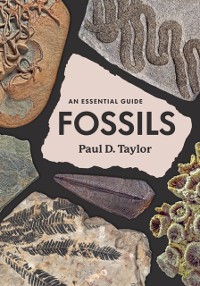 Cover Fossils