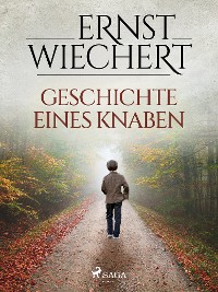 Cover Geschichte eines Knaben