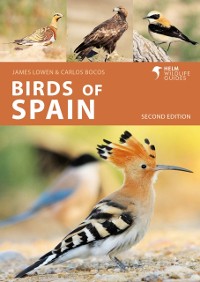 Cover Birds of Spain