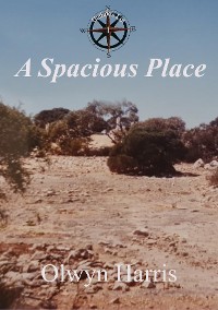 Cover A Spacious Place