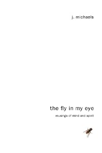 Cover The Fly in My Eye