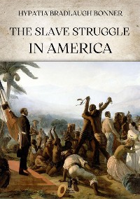 Cover The slave struggle in America