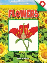 Cover Flowers