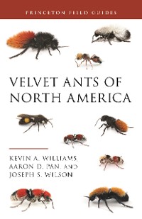 Cover Velvet Ants of North America