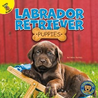 Cover Labrador Retriever Puppies