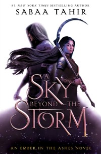 Cover Sky Beyond the Storm