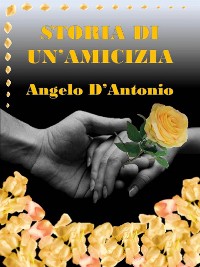 Cover Storia di un'amicizia