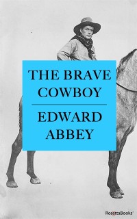 Cover Brave Cowboy