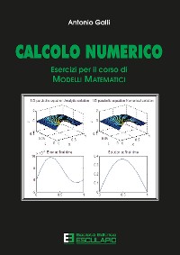 Cover Calcolo numerico. Esercizi per il corso di modelli matematici