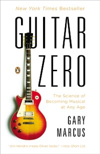 Cover Guitar Zero