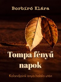 Cover Tompa fényű napok