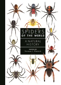 Cover Spiders of the World