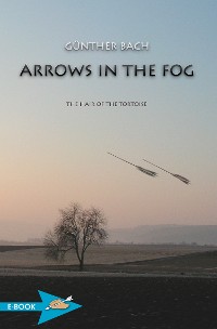 Cover Arrows In The Fog