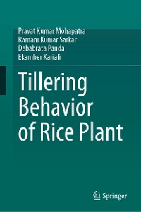 Cover Tillering Behavior of Rice Plant