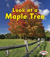 Cover Look at a Maple Tree