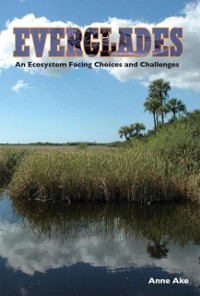 Cover Everglades