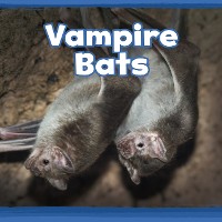 Cover Vampire Bats