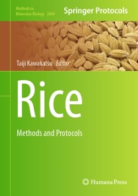 Cover Rice