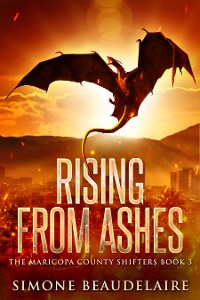 Cover Rising from Ashes