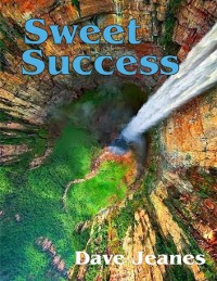 Cover Sweet Success