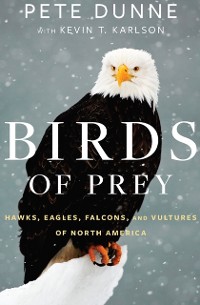 Cover Birds of Prey