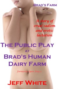Cover Public Play at Brad's Human Dairy Farm