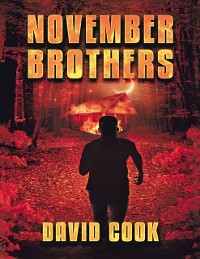 Cover November Brothers
