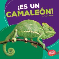 Cover ¡Es un camaleón! (It''s a Chameleon!)