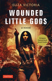 Cover Wounded Little Gods