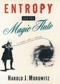 Cover Entropy and the Magic Flute