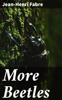 Cover More Beetles