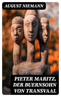 Cover Pieter Maritz, der Buernsohn von Transvaal