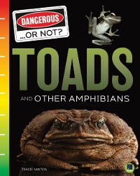 Cover Toads and Other Amphibians