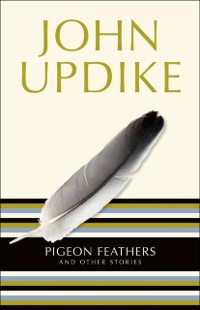 Cover Pigeon Feathers