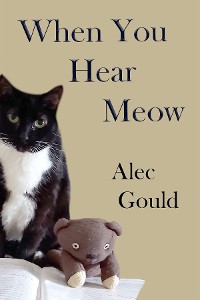 Cover When You Hear Meow