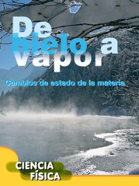 Cover De hielo a vapor