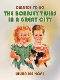 Cover Bobbsey Twins In A Great City