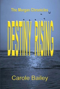 Cover Destiny Rising