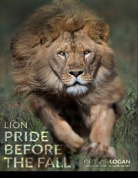 Cover Lion: Pride Before The Fall