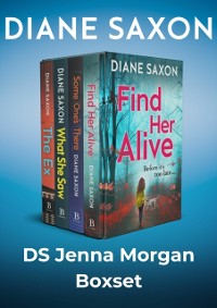 Cover DS Jenna Morgan Series