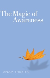 Cover Magic of Awareness
